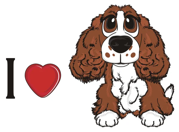 şirin kahverengi spaniel 