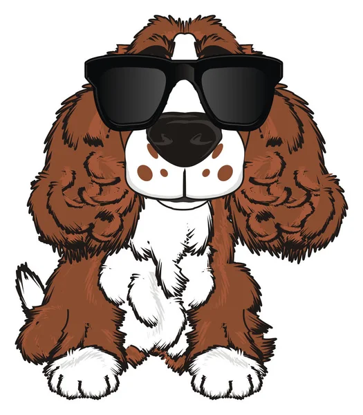 şirin kahverengi spaniel 