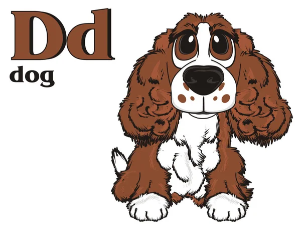 şirin kahverengi spaniel 