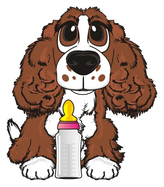 şirin kahverengi spaniel 