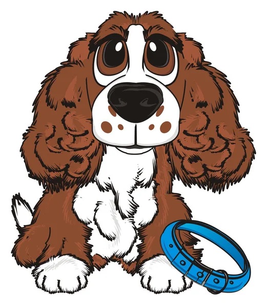 şirin kahverengi spaniel 