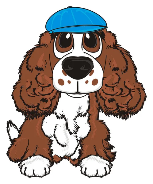 şirin kahverengi spaniel 