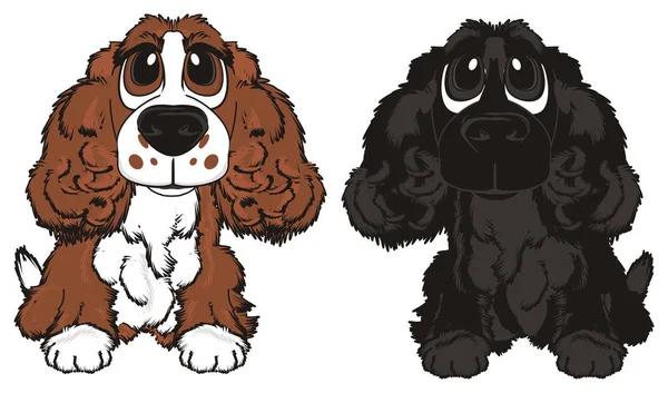 Ładny brązowy spaniel — Zdjęcie stockowe