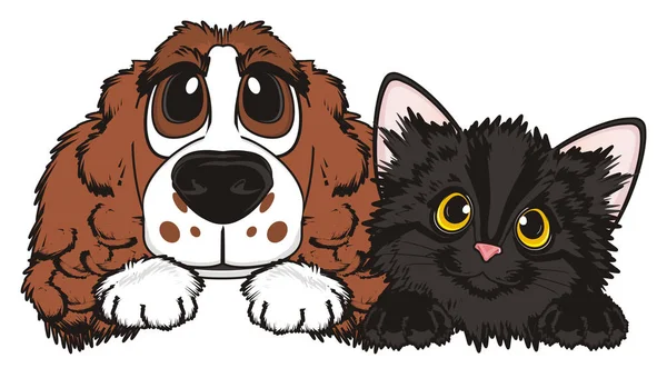 şirin kahverengi spaniel 