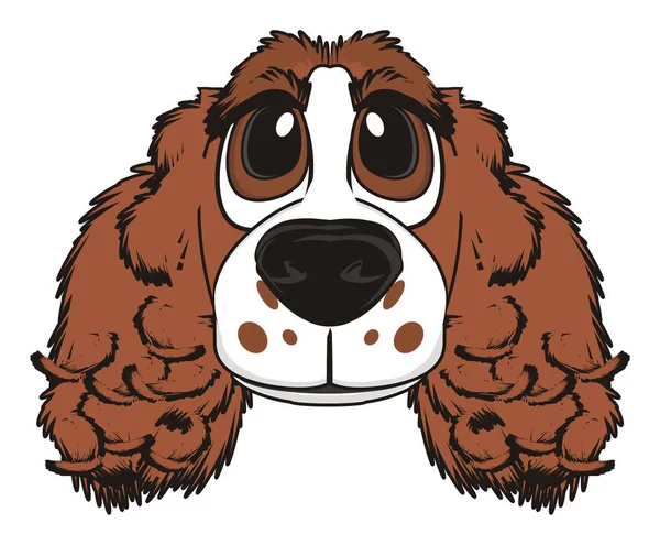 şirin kahverengi spaniel 