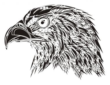 American eagle başkanı