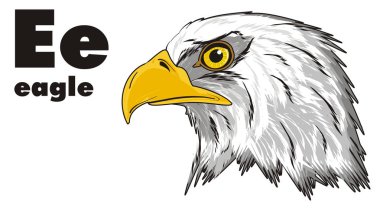 American eagle başkanı