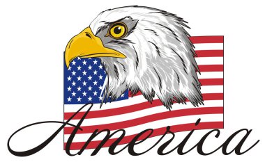 American eagle başkanı