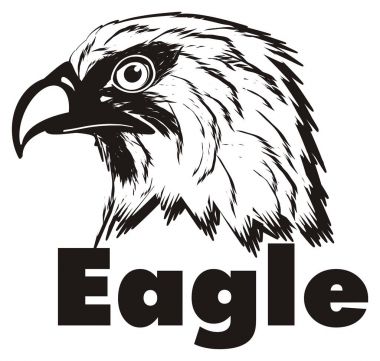 American eagle başkanı
