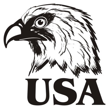American eagle başkanı