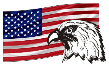 American eagle başkanı