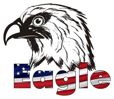 American eagle başkanı