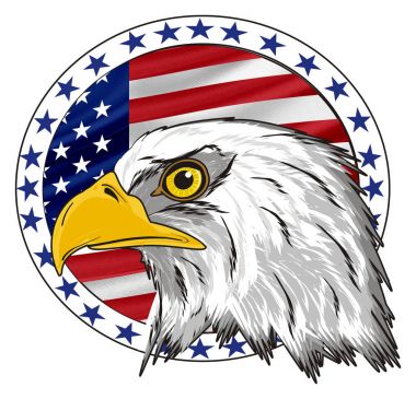 American eagle başkanı