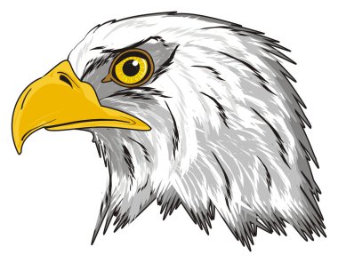 American eagle başkanı
