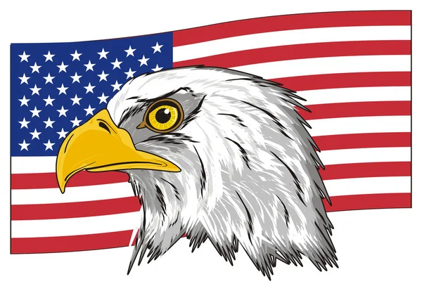 head of American eagle