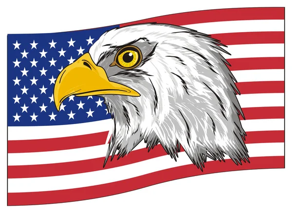 Kopf des amerikanischen Adlers — Stockfoto