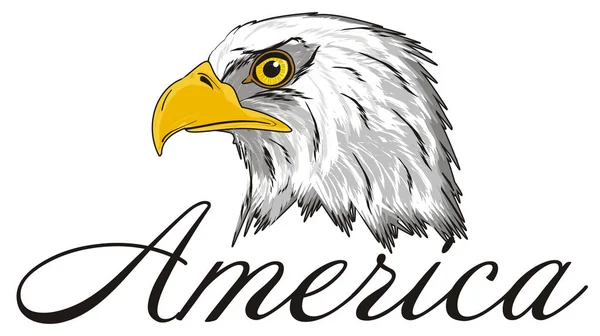 Hoofd van de American eagle — Stockfoto