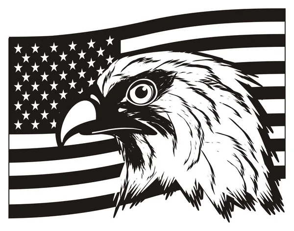American eagle başkanı