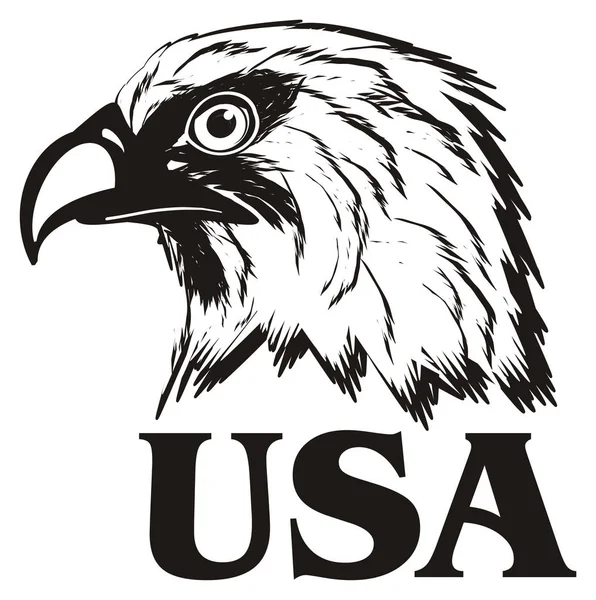 Голова американского орла — стоковое фото
