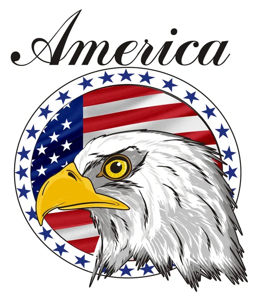 American eagle başkanı