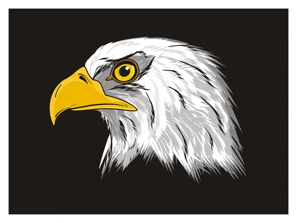 Kopf des amerikanischen Adlers — Stockfoto