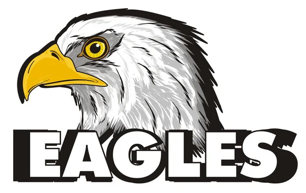 Hoofd van de American eagle — Stockfoto