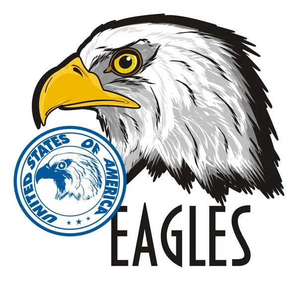 Head of American eagle — Stock Photo, Image