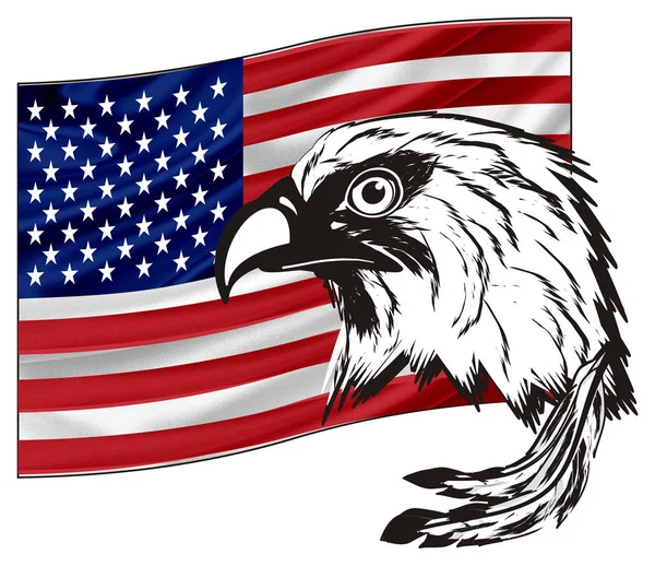 Head of American eagle — Stock Photo, Image