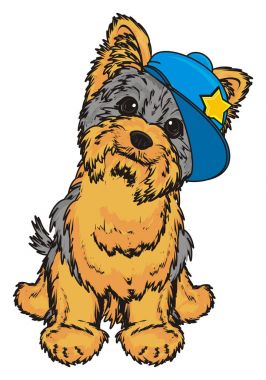 Şirin Yorkshire Teriyeri