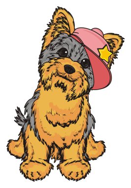 Şirin Yorkshire Teriyeri