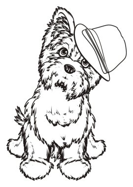 Boyama Yorkshire korkunç