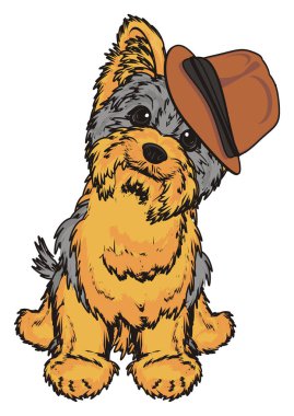 Şirin Yorkshire Teriyeri