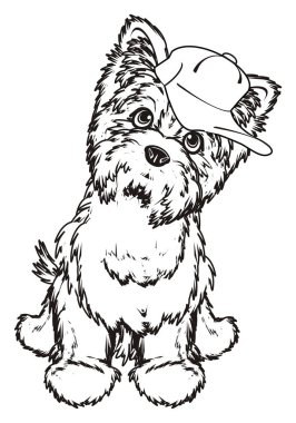 Boyama Yorkshire korkunç