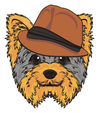 Şirin Yorkshire Teriyeri