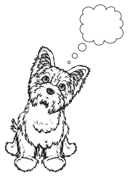 Coloring  Yorkshire terrier — Stock Photo, Image