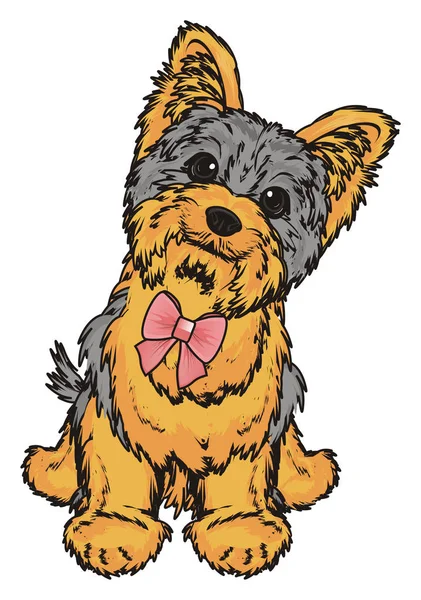 Słodki yorkshire terrier — Zdjęcie stockowe