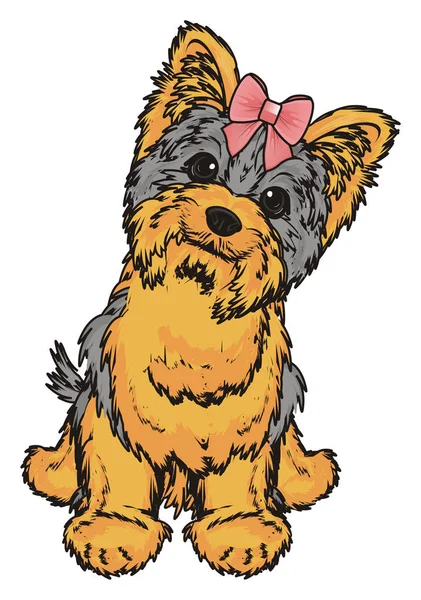 Słodki yorkshire terrier — Zdjęcie stockowe