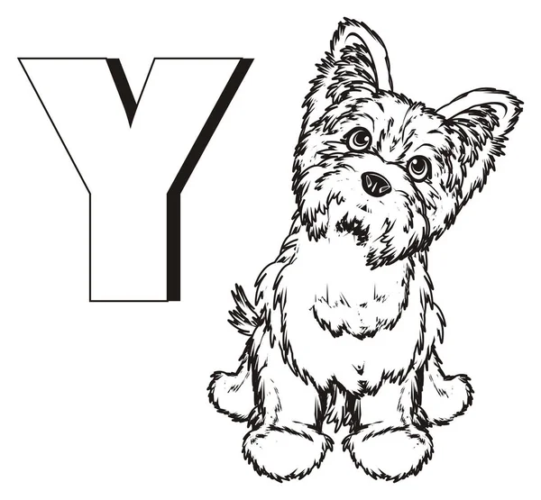 Farba Yorkshire terrier — Zdjęcie stockowe