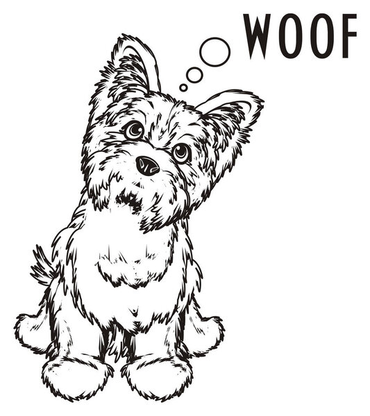 Йоркширский терьер
