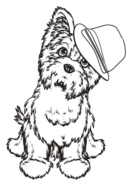 Boyama Yorkshire korkunç