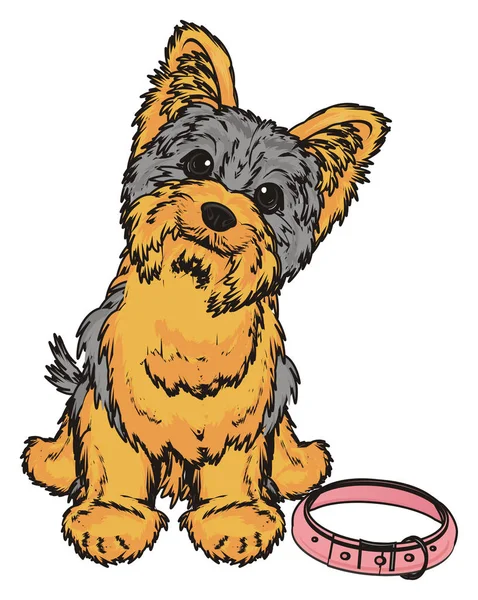 Słodki yorkshire terrier — Zdjęcie stockowe