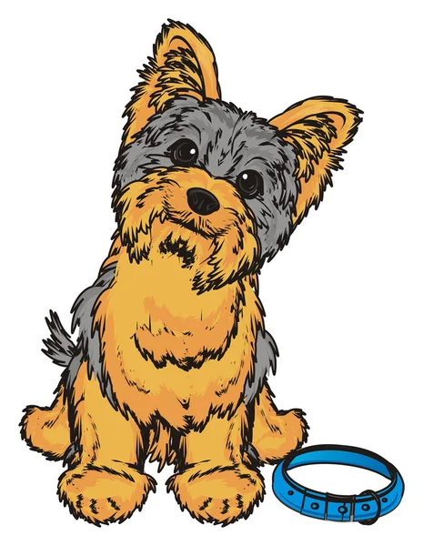 Słodki yorkshire terrier — Zdjęcie stockowe