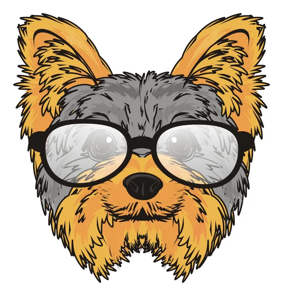 Słodki yorkshire terrier — Zdjęcie stockowe