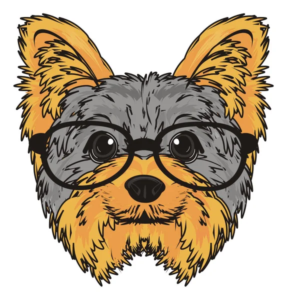 Cute Yorkshire terrier — Stock Photo, Image