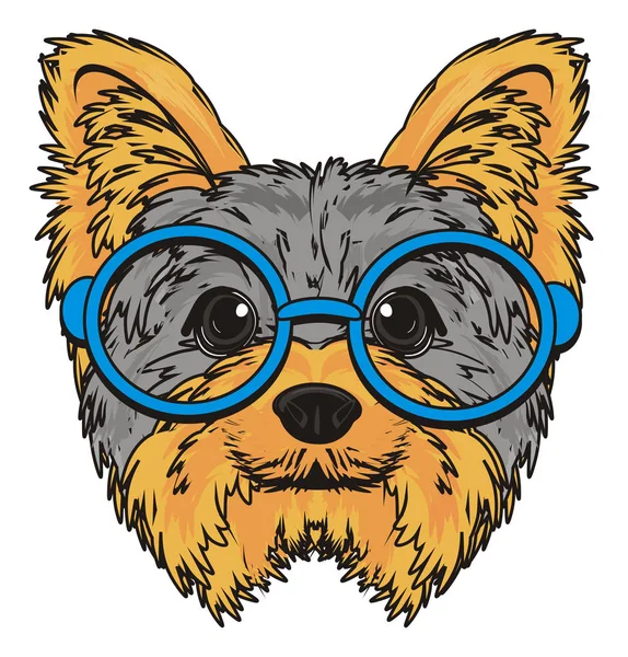 Söt Yorkshire terrier — Stockfoto