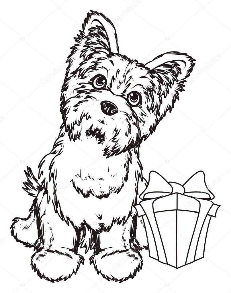 Yorkshire Terrier Coloring Pages Dog Breeds Picture Sketch Coloring Page