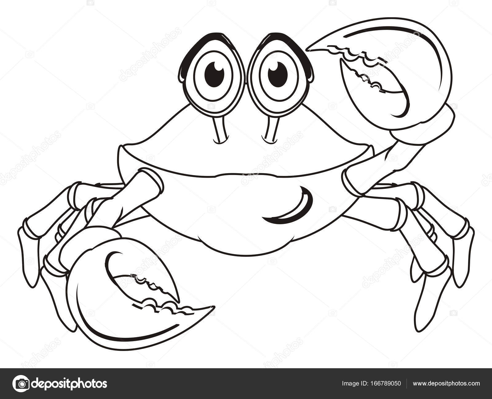 Kleurplaten Van Happy Krab Stockfoto Tatty77tatty 166789050