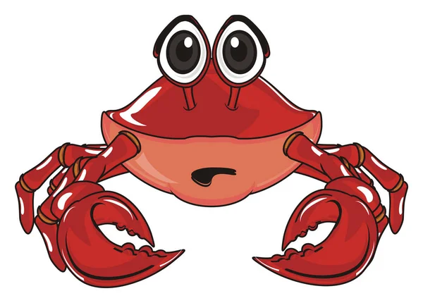 Schattige rode krab — Stockfoto