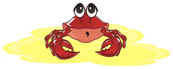 Ładny czerwony krab — Zdjęcie stockowe