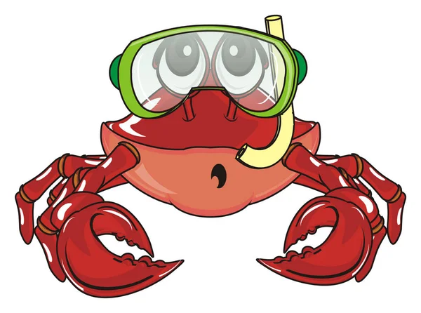 Crabe rouge mignon — Photo